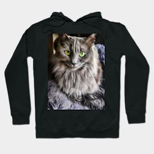 Green Eyes Grey Fur Hoodie